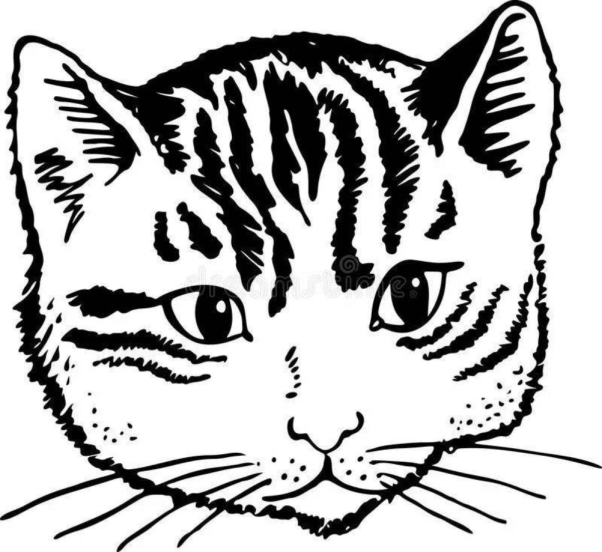 Раскраска очаровательная кошачья мордочка