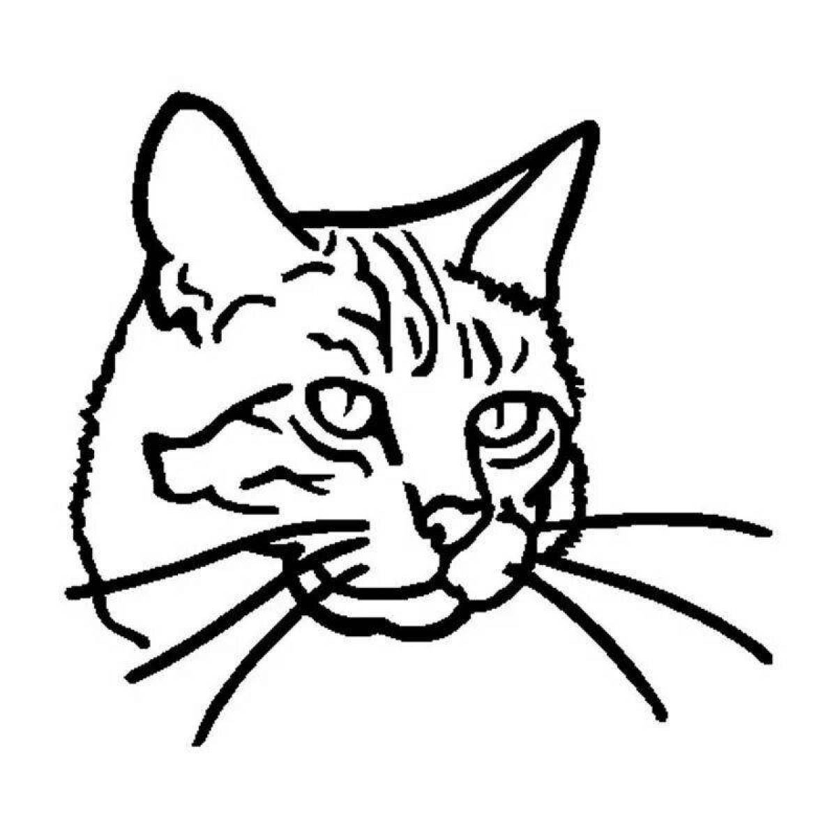 Анимированная страница раскраски мордочки кошки