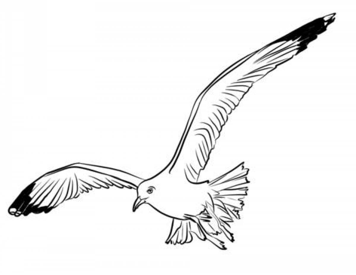 Картинка чайка