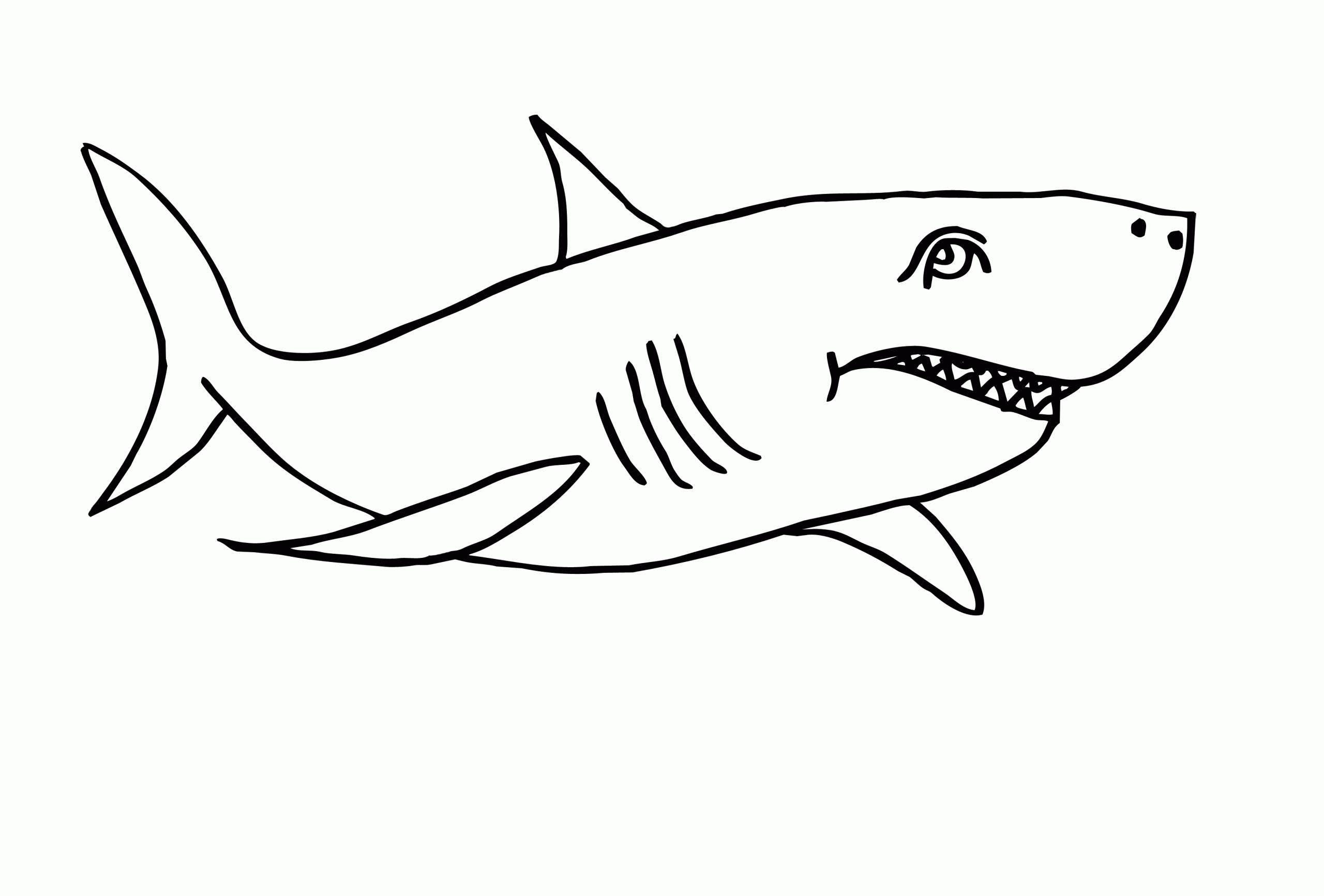 Раскраска Акула #1