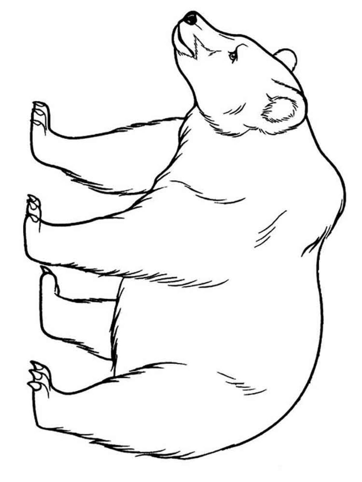 Раскраска Белый медведь #1