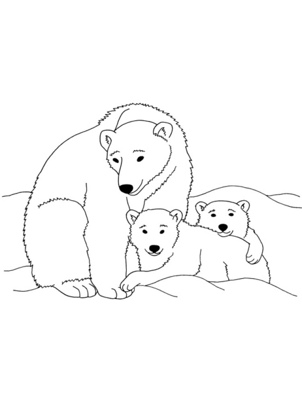 Раскраска Белый медведь #0