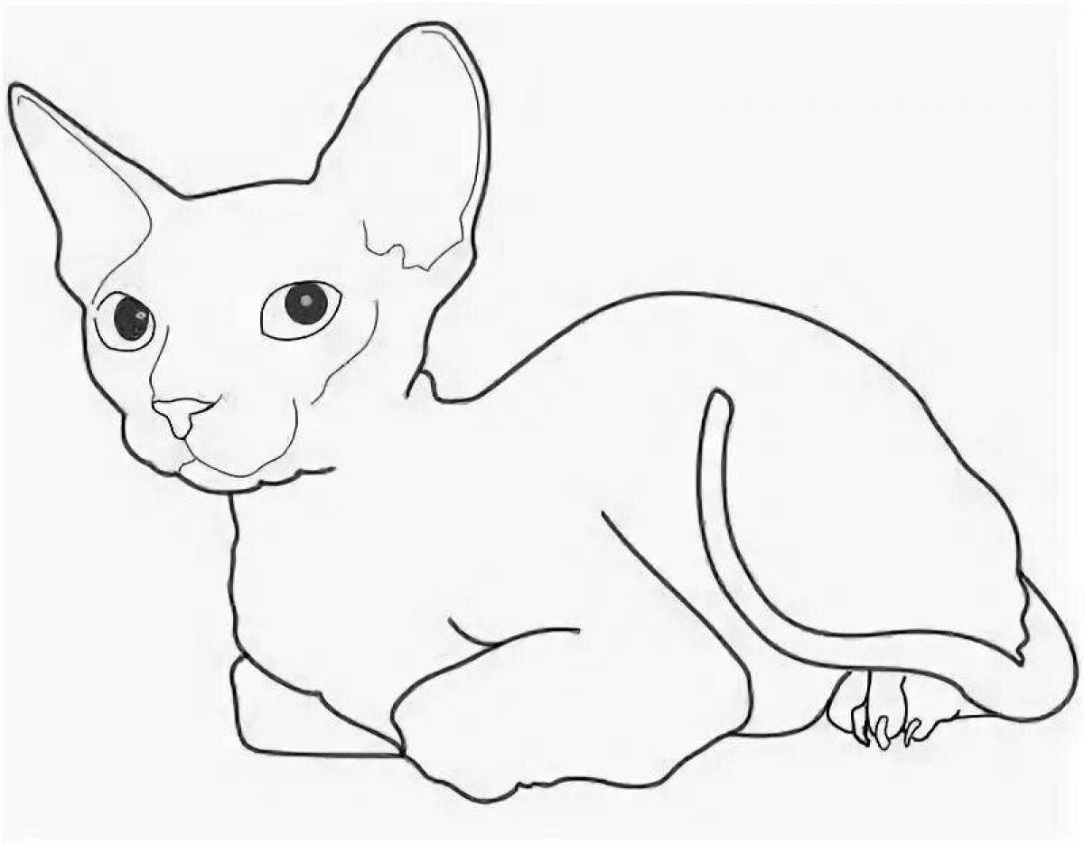 Раскраска очаровательная кошка сфинкс