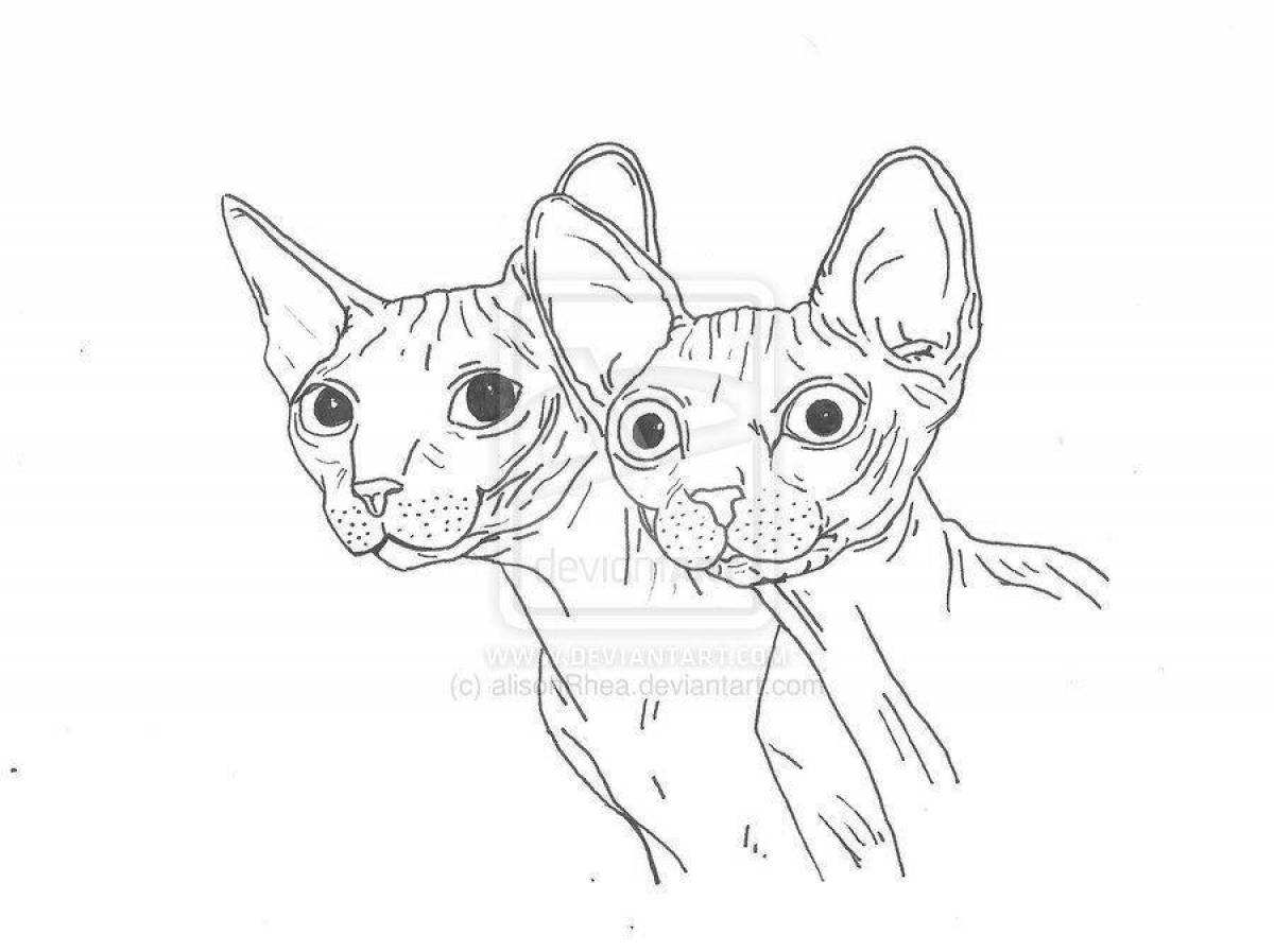 Очаровательная раскраска кота-сфинкса
