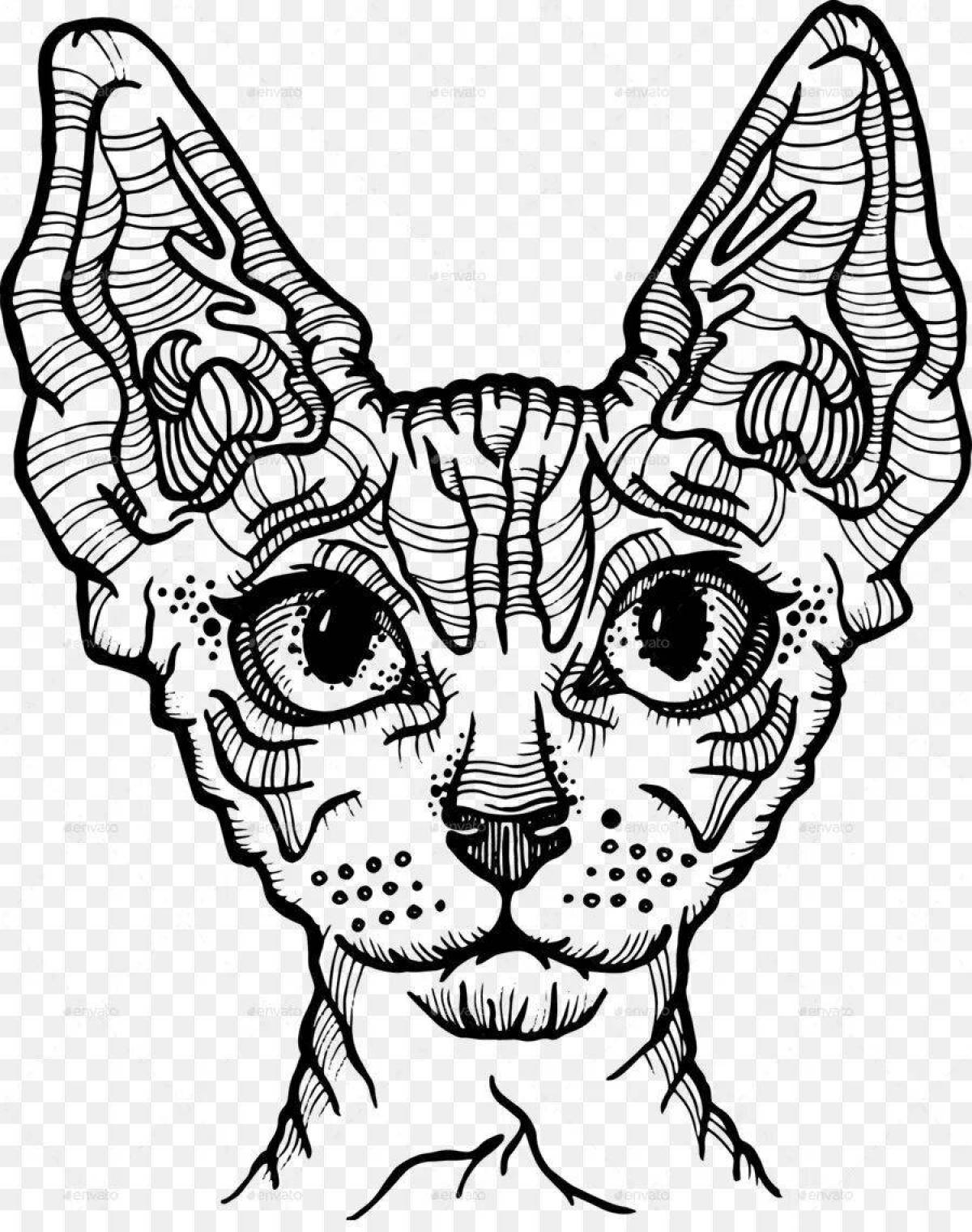 Раскраска поразительный кот-сфинкс