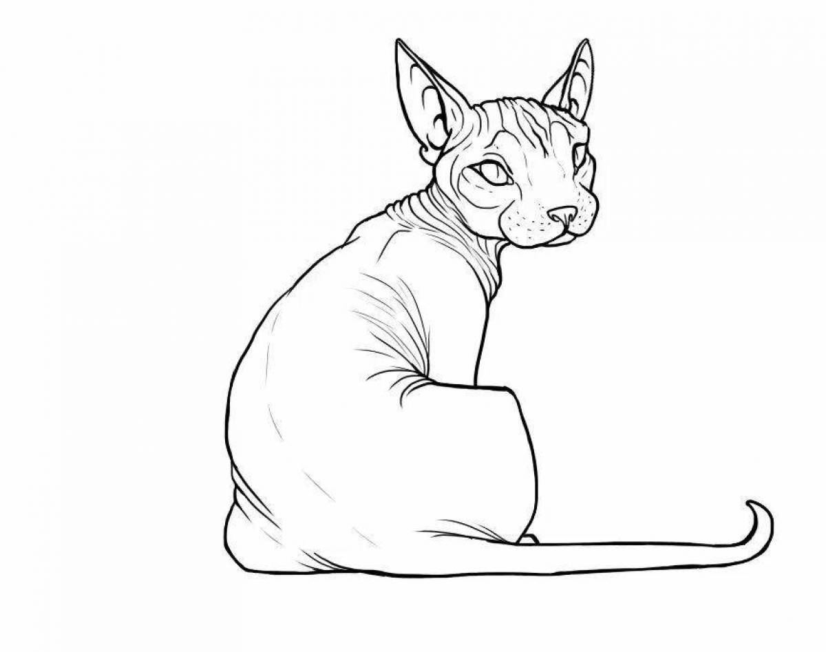 Причудливая кошка-сфинкс раскраска