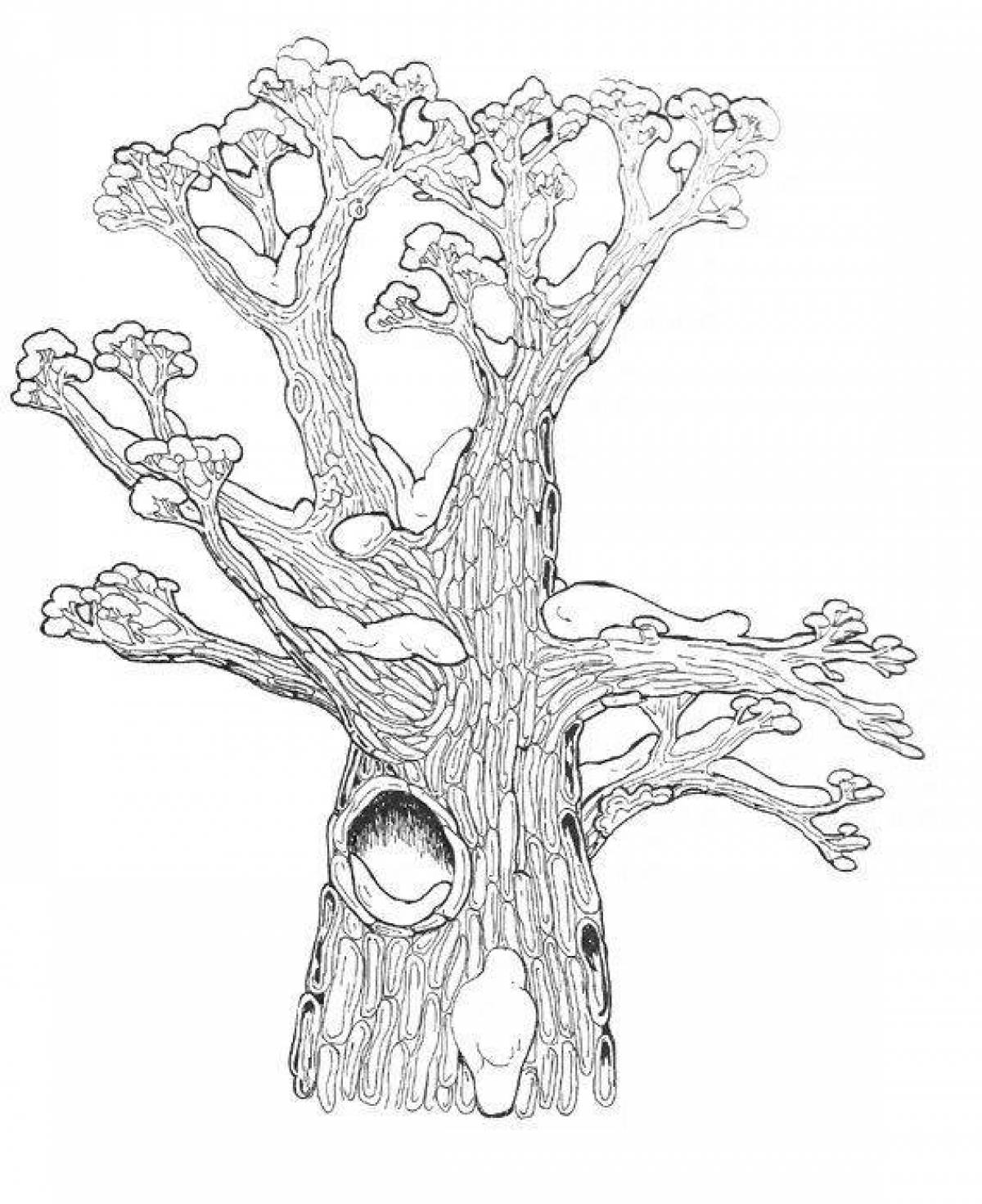 Роскошная раскраска дерево с дуплом
