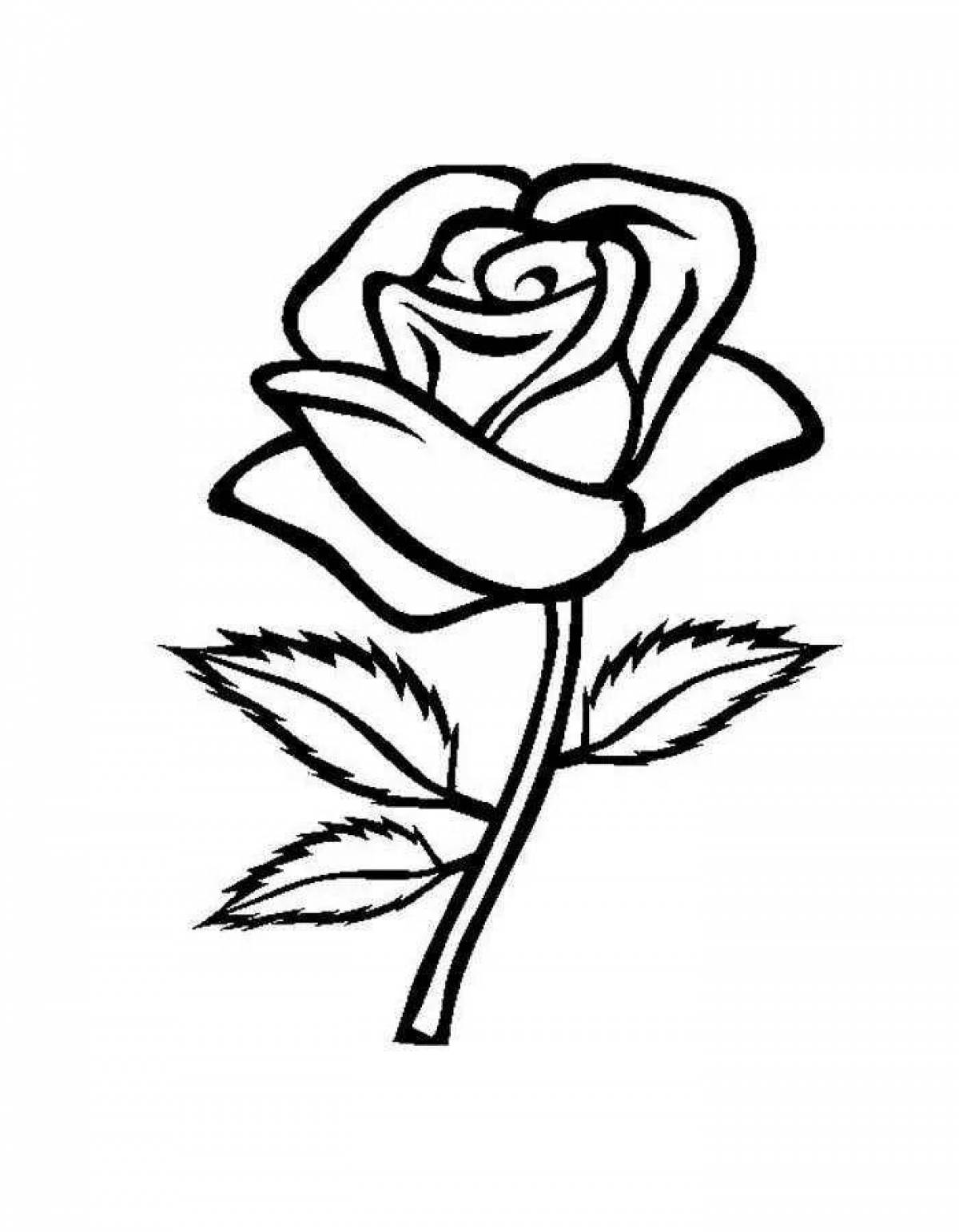 Раскраска цветущая роза
