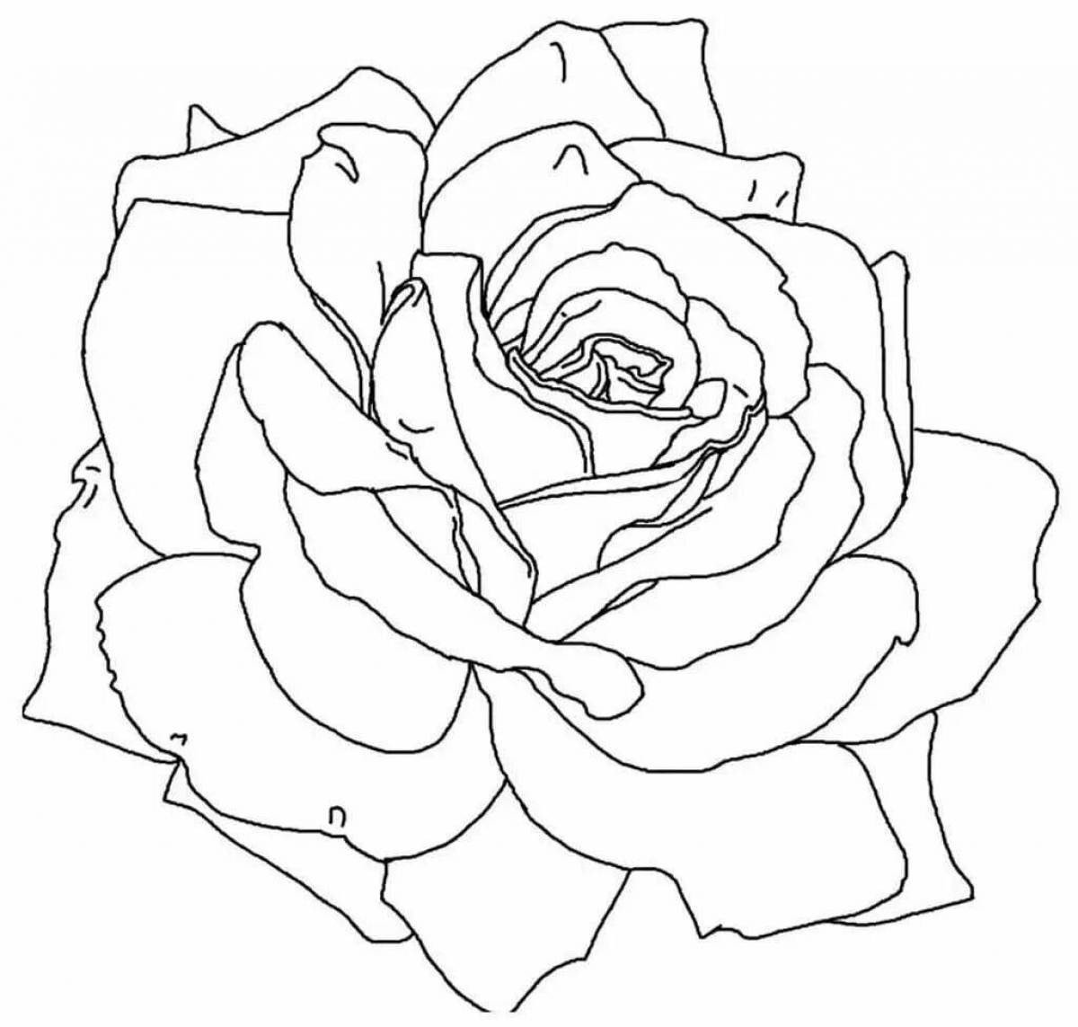 Раскраска красочная роза