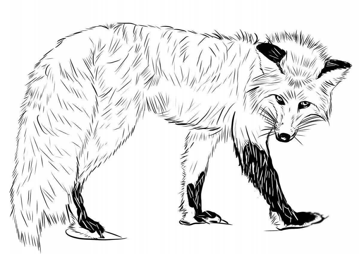 Анимированная раскраска фигурка лисы