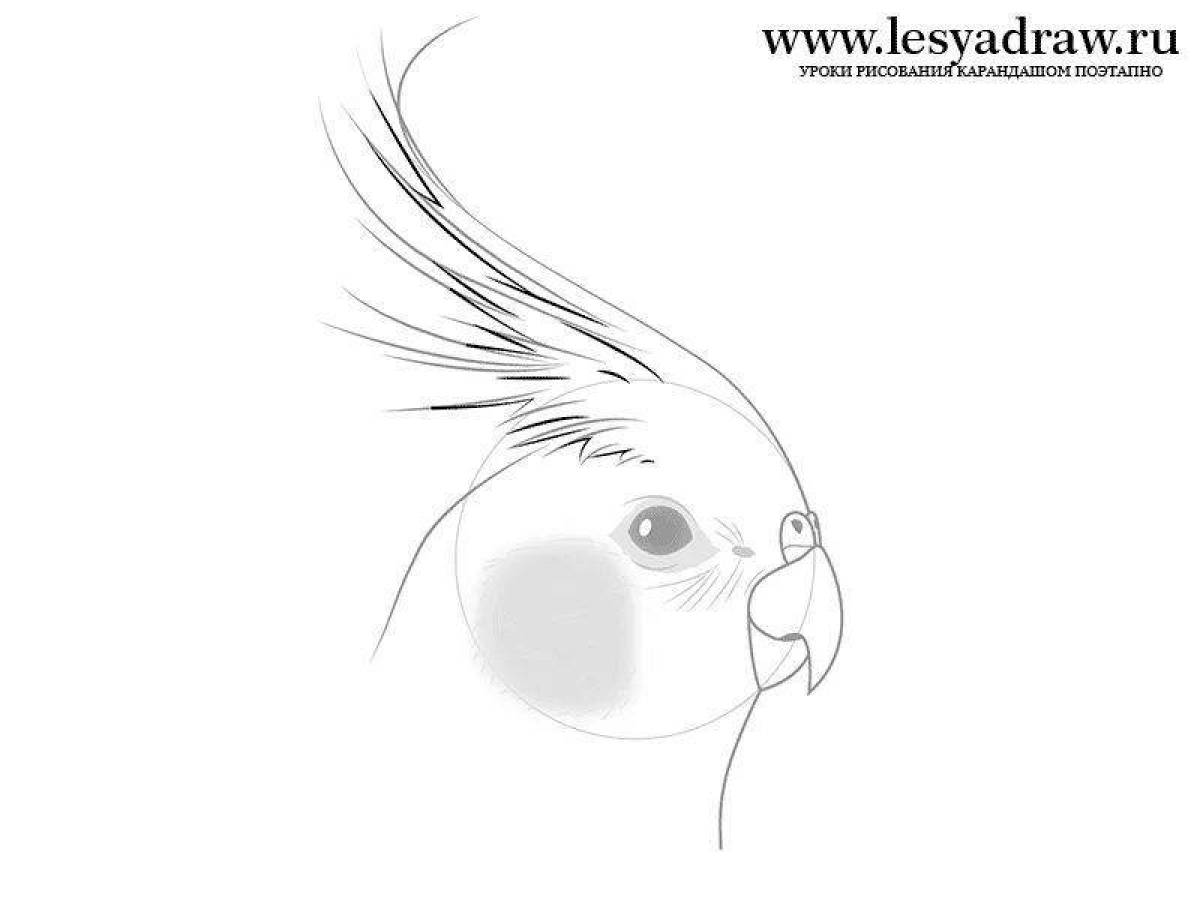 Впечатляющая страница раскраски попугая кореллы