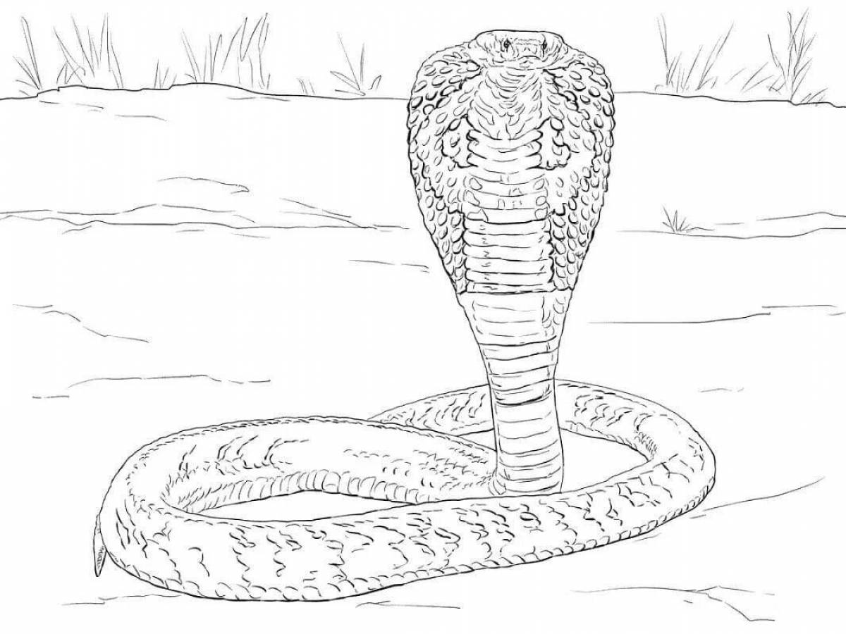 Заманчивая раскраска королевская кобра