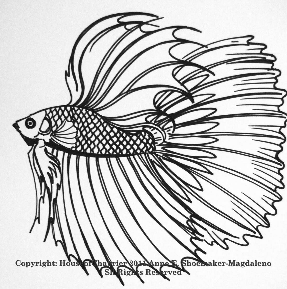 Буйная рыбка петушок раскраска