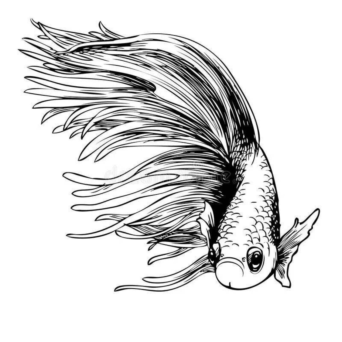 Раскраска ослепительная рыба-петушок