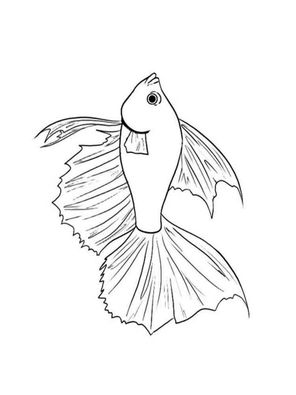 Раскраска восхитительная рыбка петушок