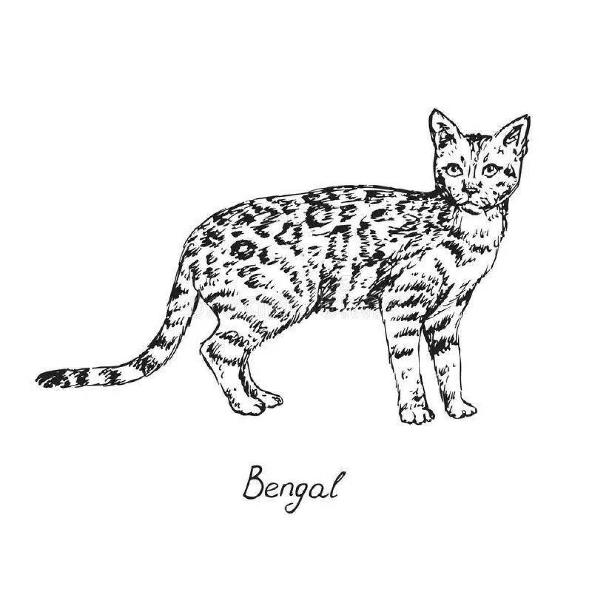 Очаровательная бенгальская кошка-раскраска