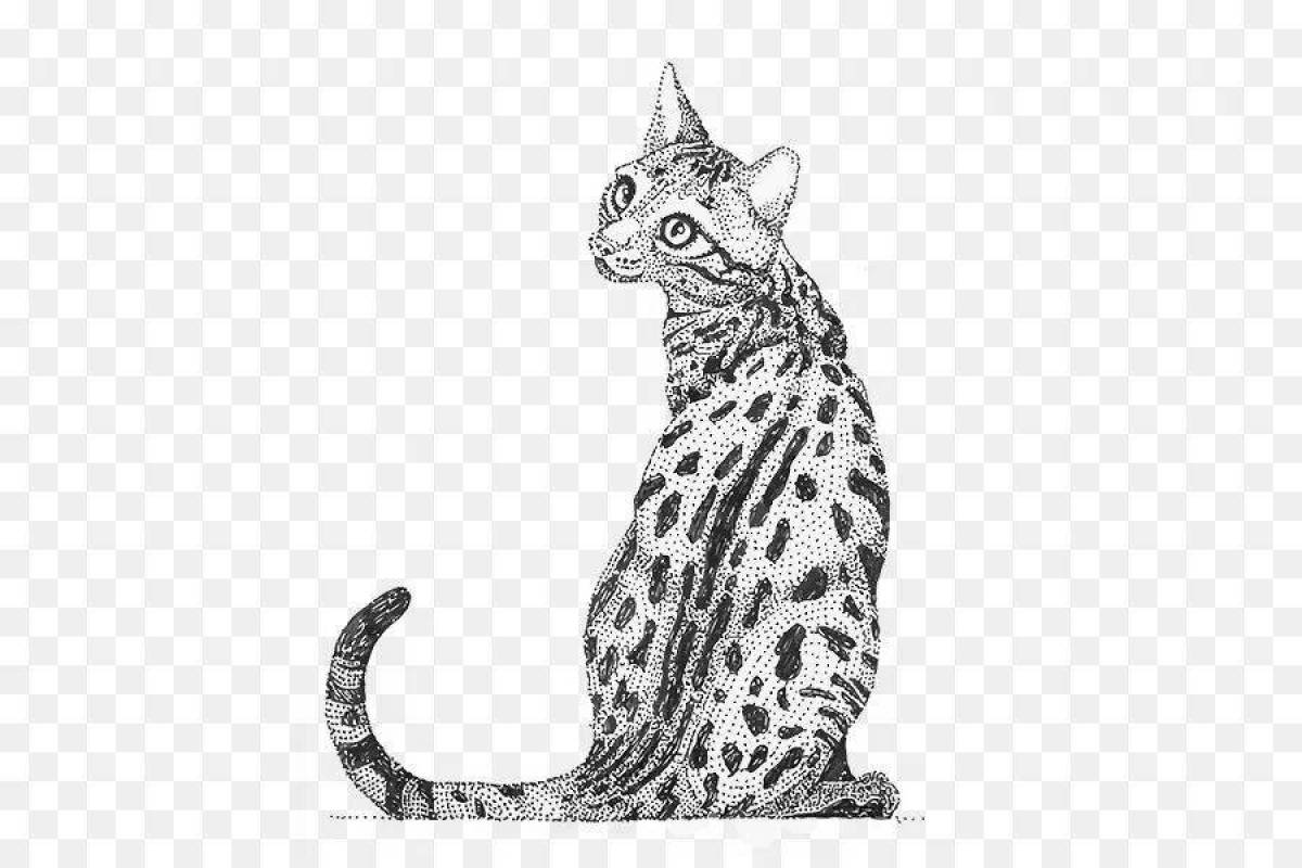 Мягкая бенгальская кошка раскраска