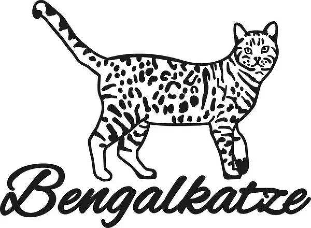 Раскраска смелая бенгальская кошка