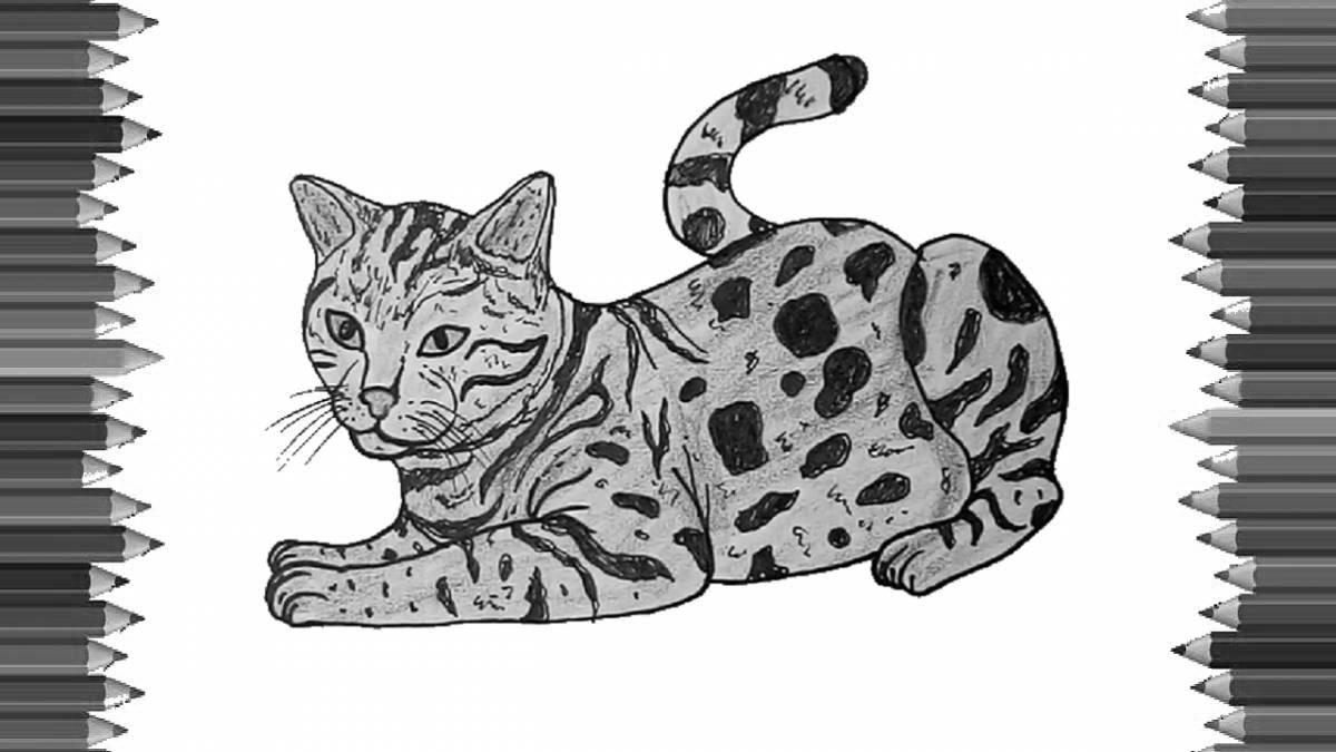 Раскраска игривая бенгальская кошка