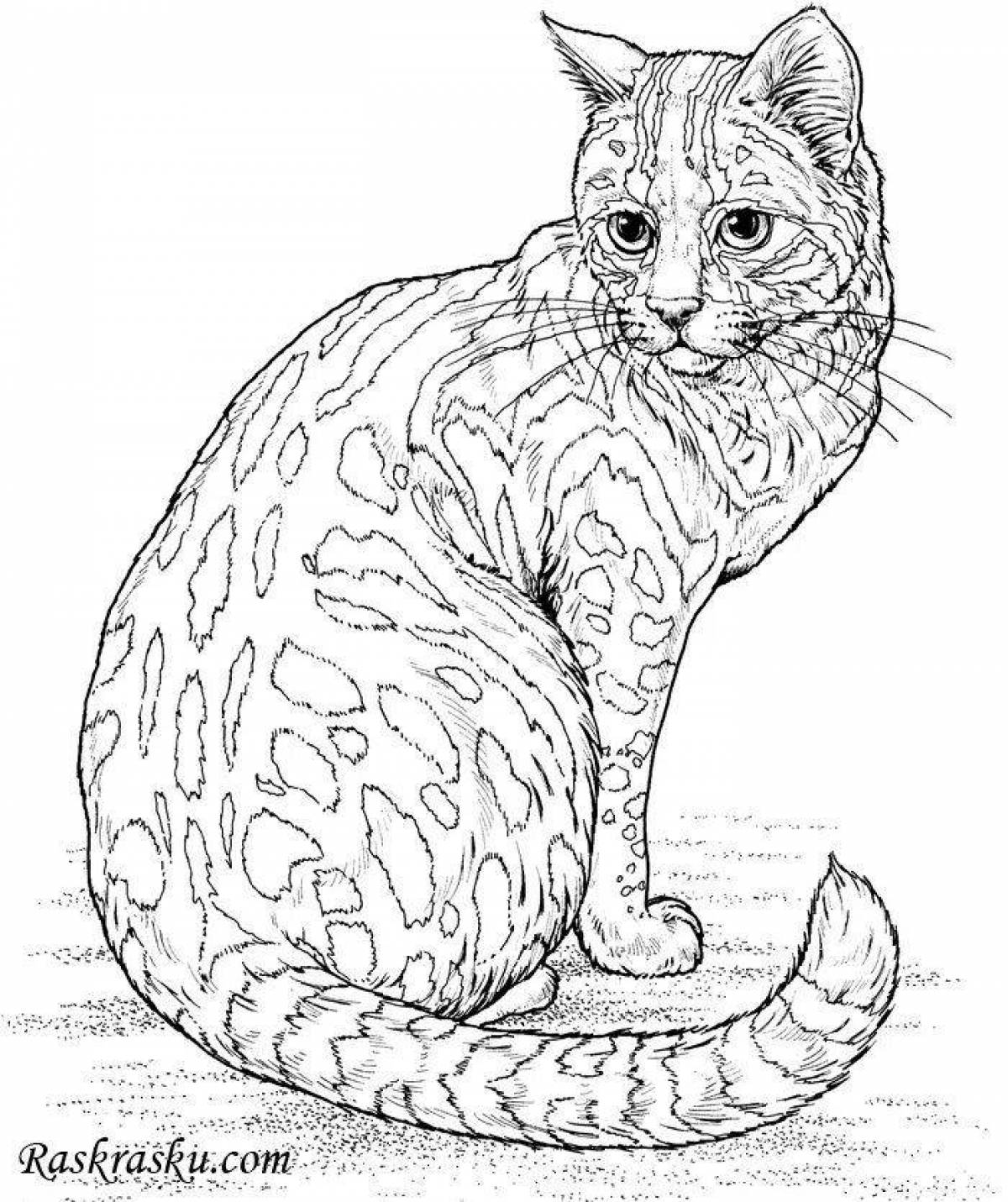 Раскраска сияющая бенгальская кошка