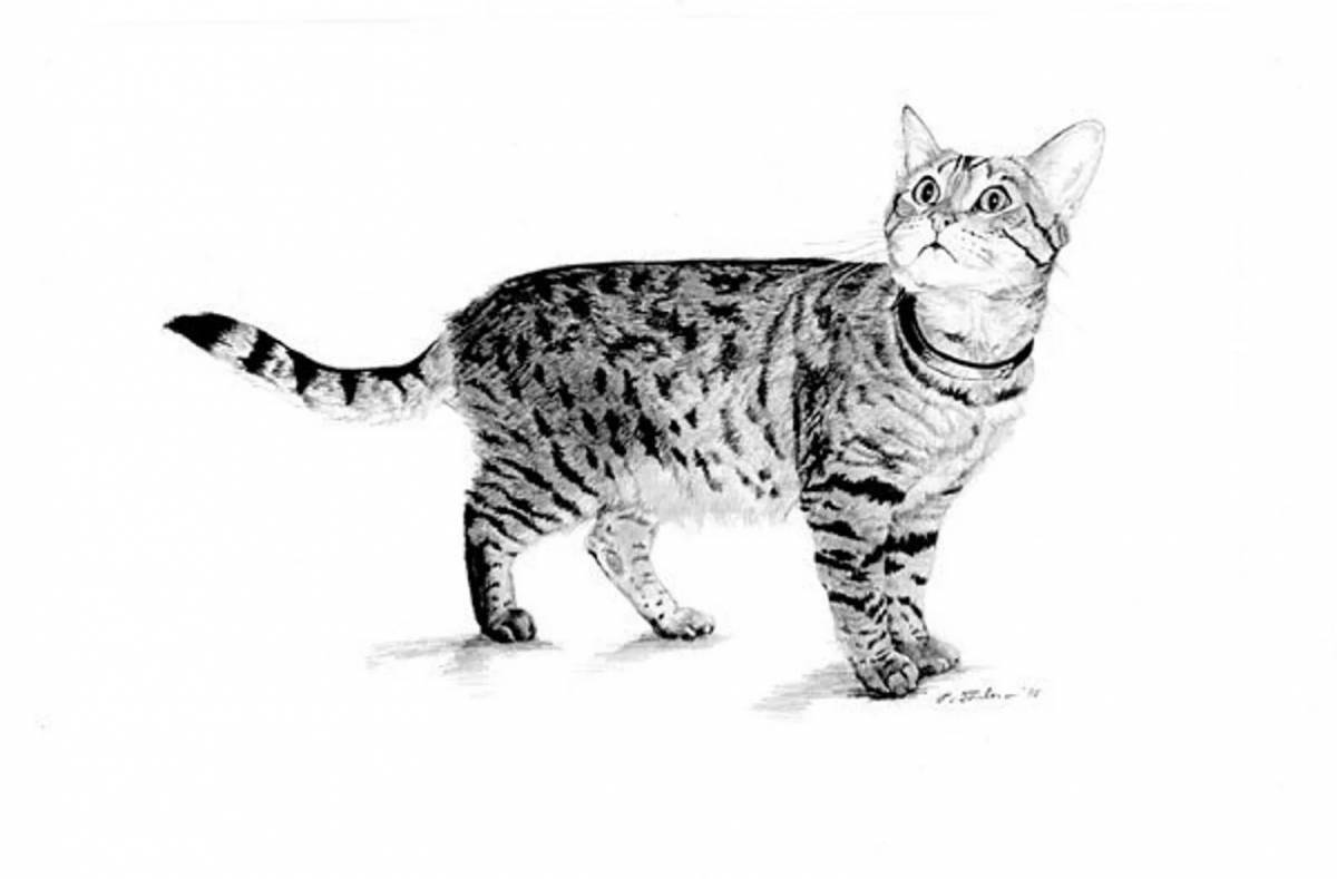 Раскраска потрясающая бенгальская кошка