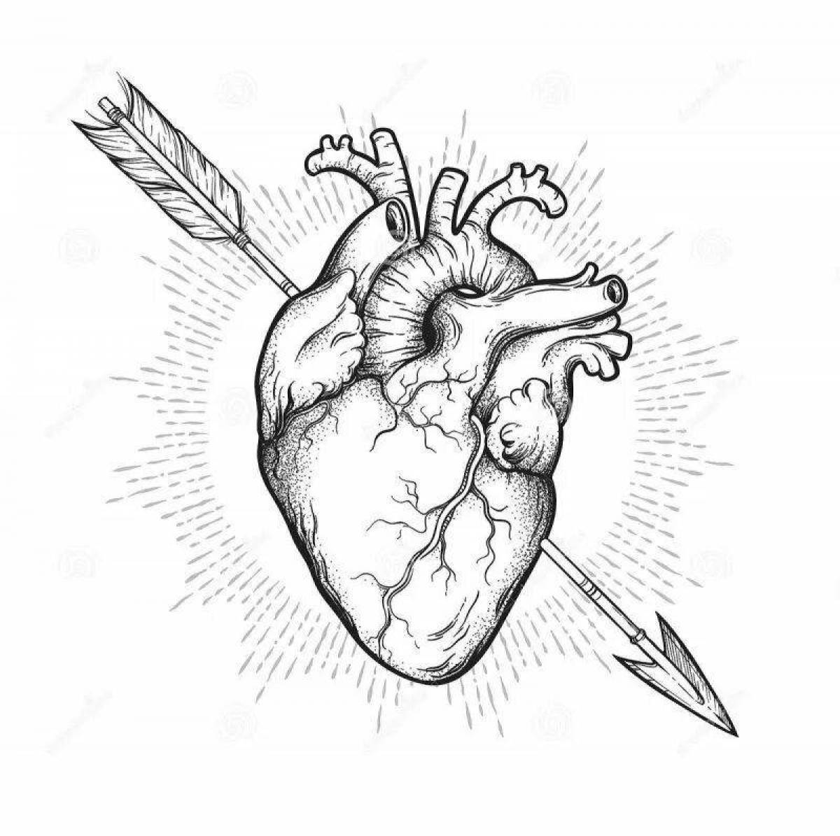 Большая страница раскраски анатомического сердца