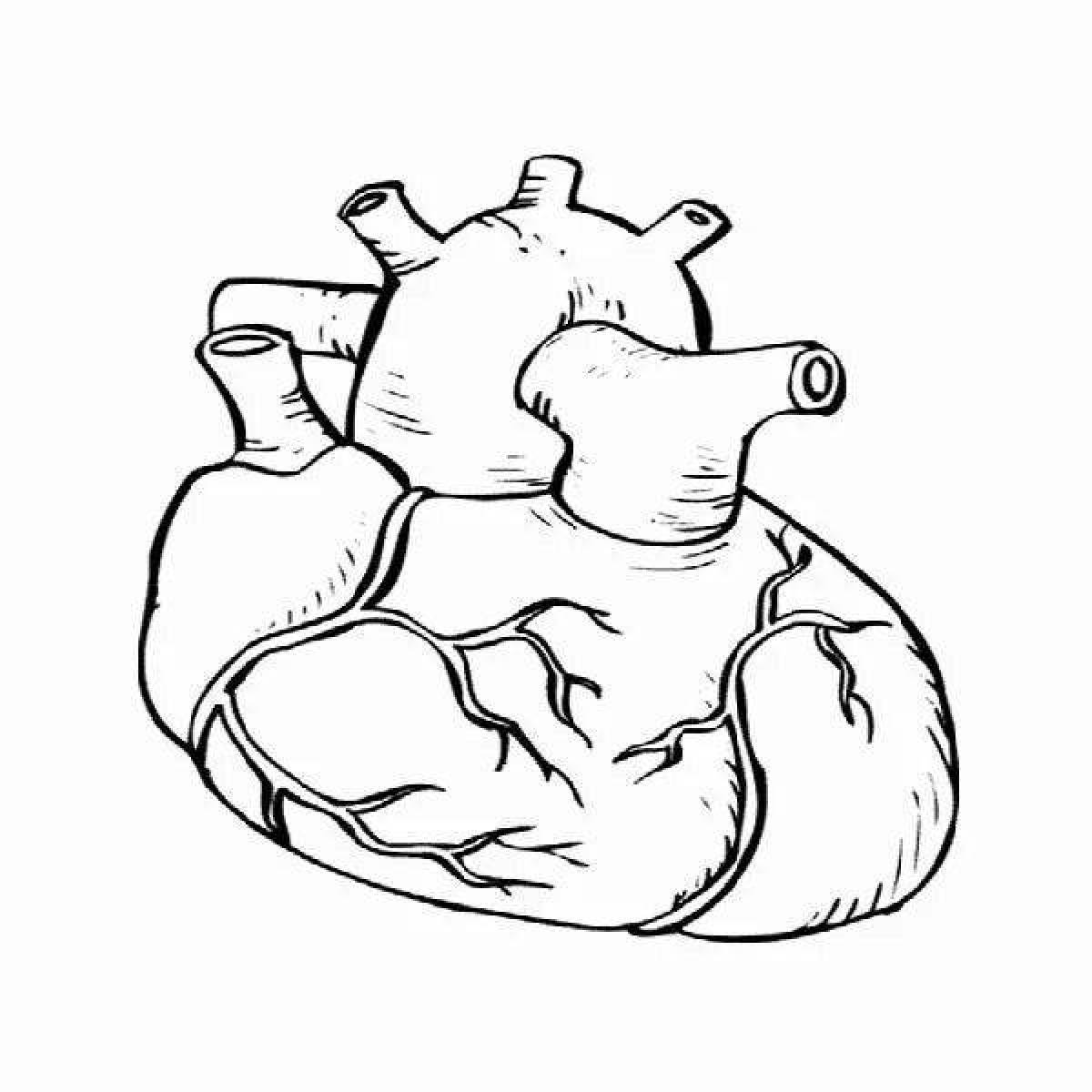 Игривая страница раскраски анатомического сердца