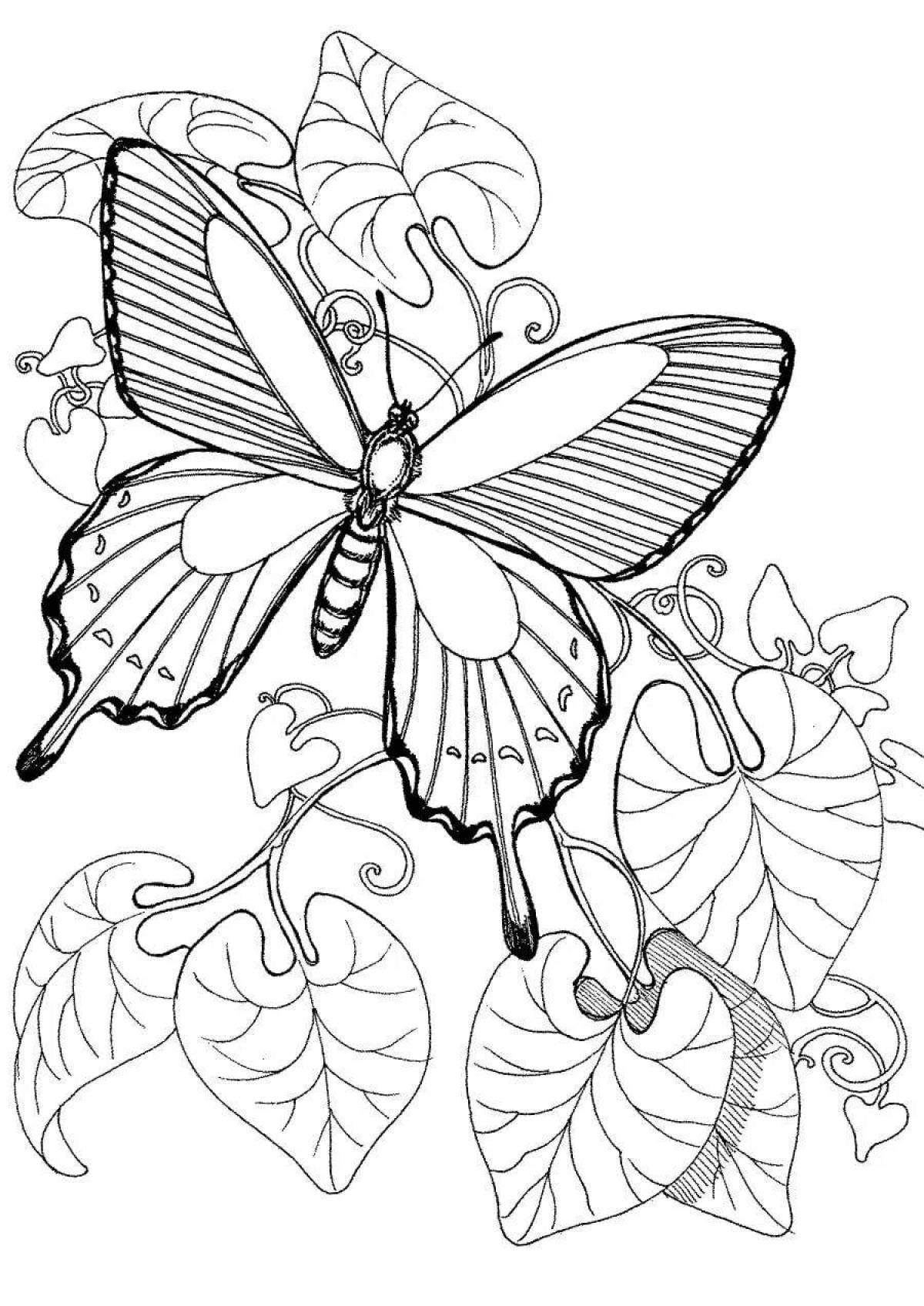 Экзотические раскраски бабочки