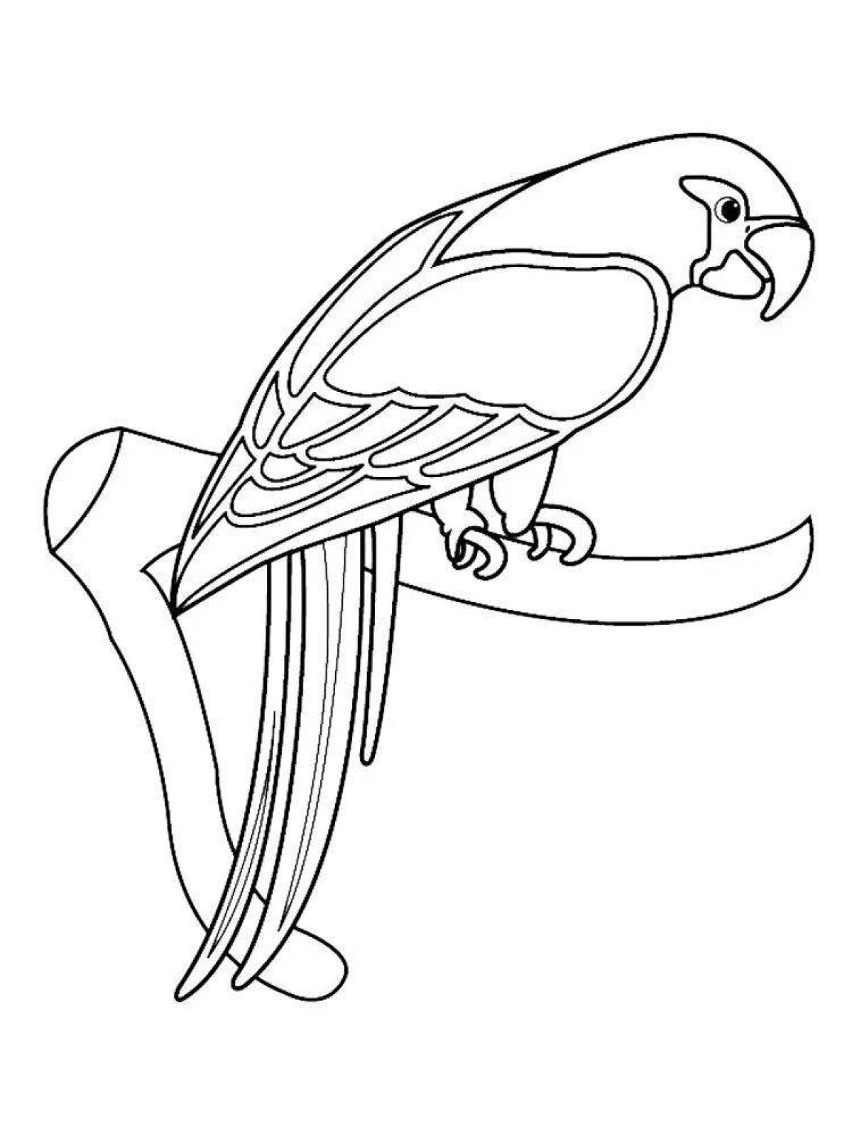 Динамическая раскраска ара