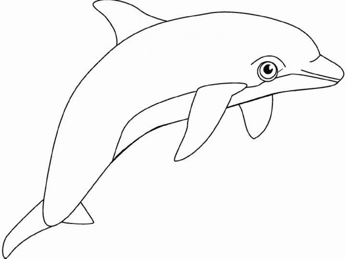 Раскраска Дельфин #1
