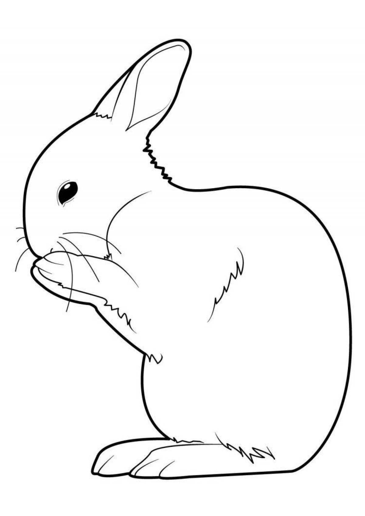 Красочная страница раскраски кролика