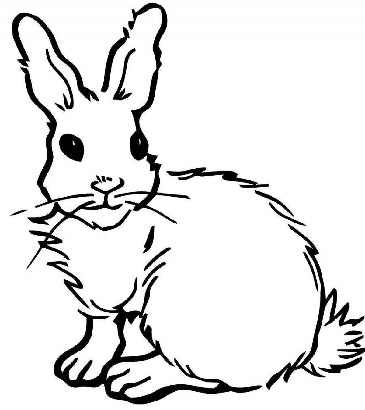 Очаровательный рисунок кролика