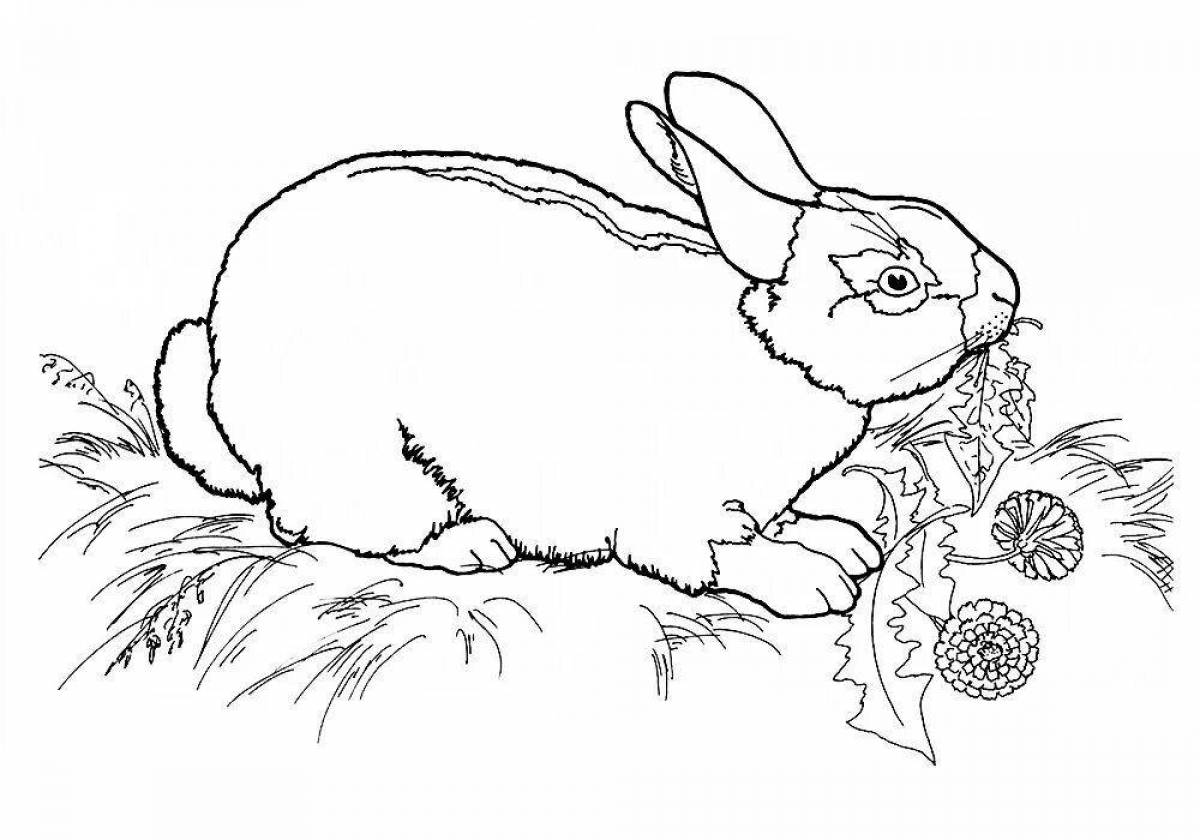 Милый рисунок кролика