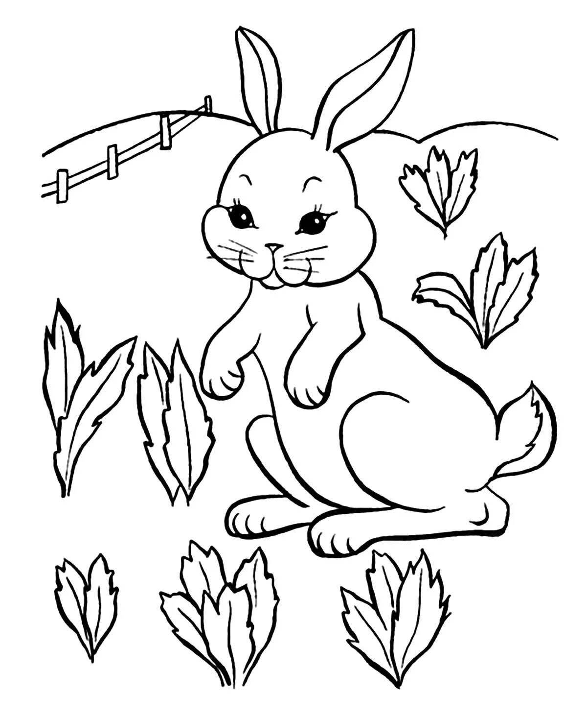 Веселая раскраска кролика