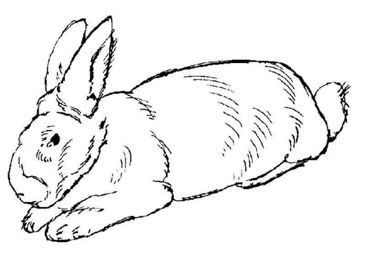 Оживленный кролик раскраска
