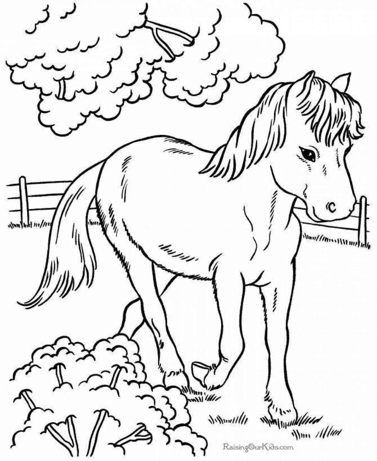 Ослепительная раскраска лошади для девочек