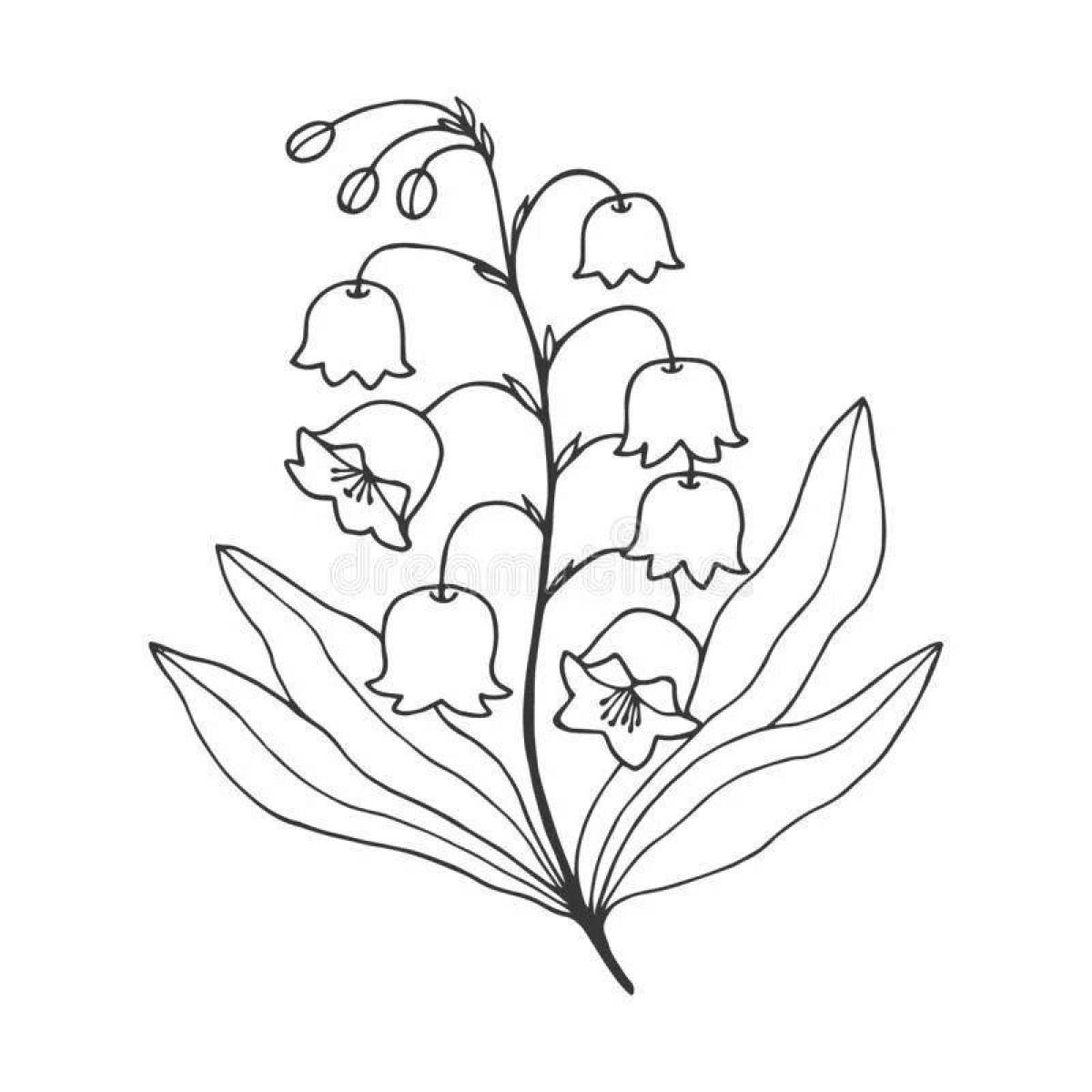 Раскраска цветущий майский ландыш