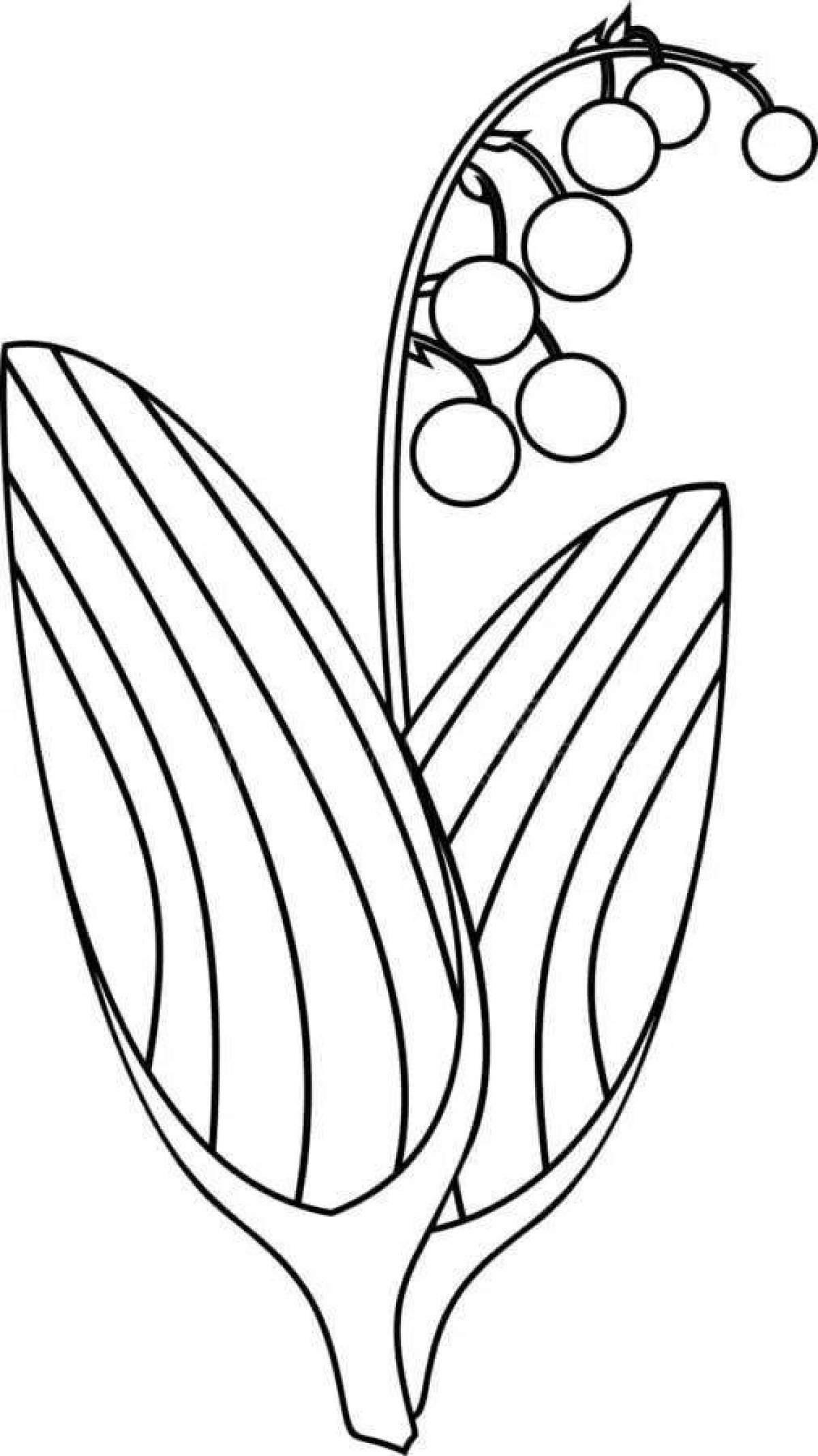 Раскраска экзотический майский ландыш