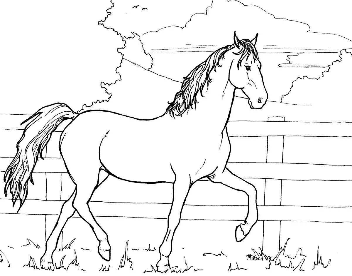 Раскраска изысканные пасущиеся лошади
