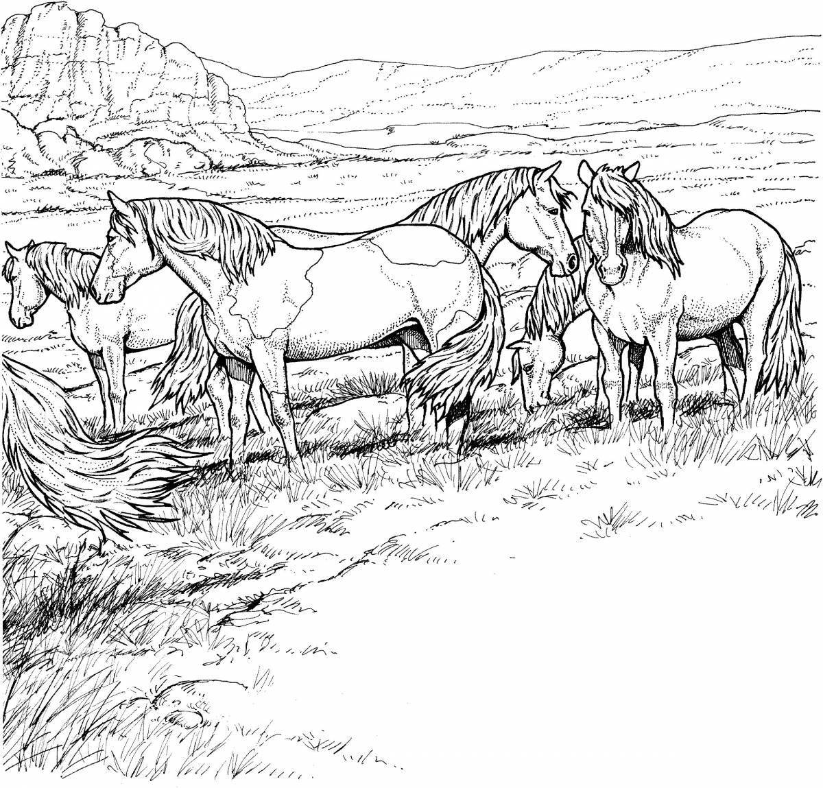 Раскраска очаровательные пасущиеся лошади