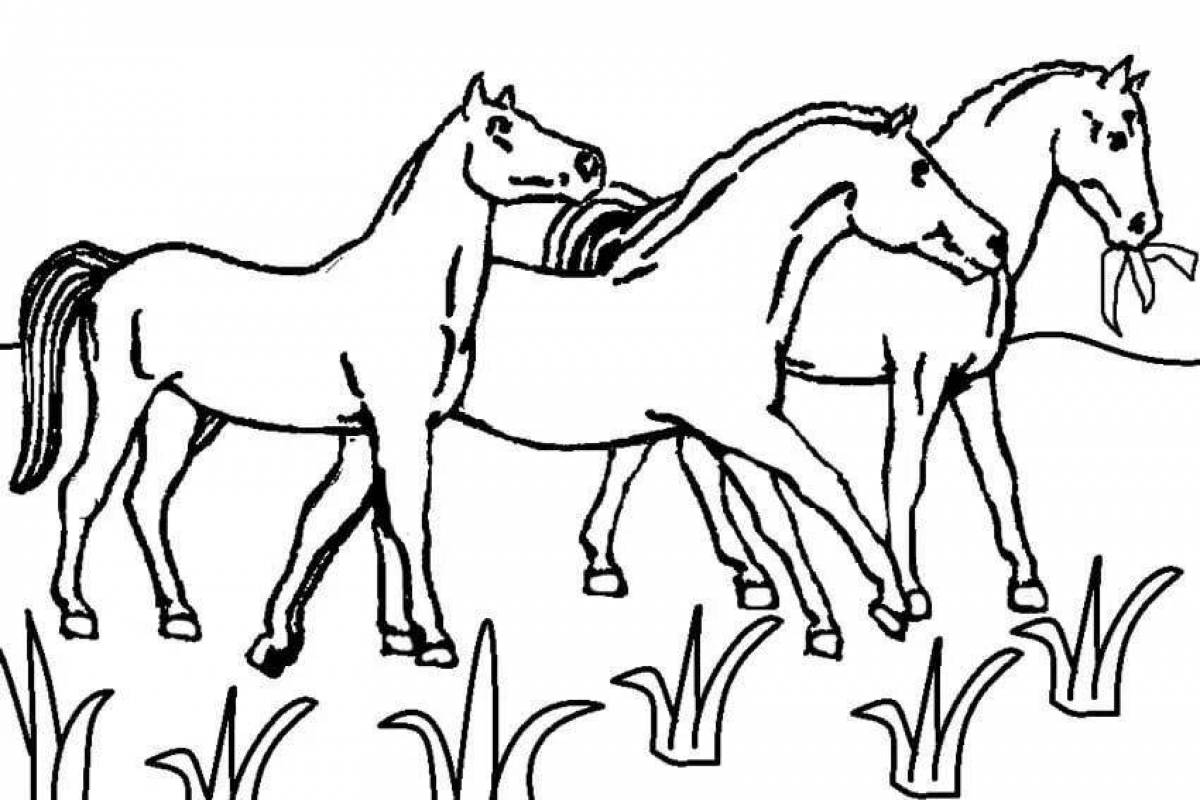 Раскраска игривые пасущиеся лошади