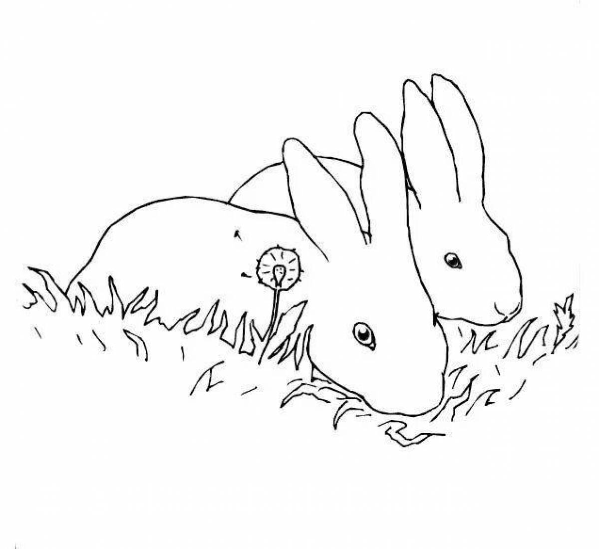 Игривая страница раскраски buffy bunny