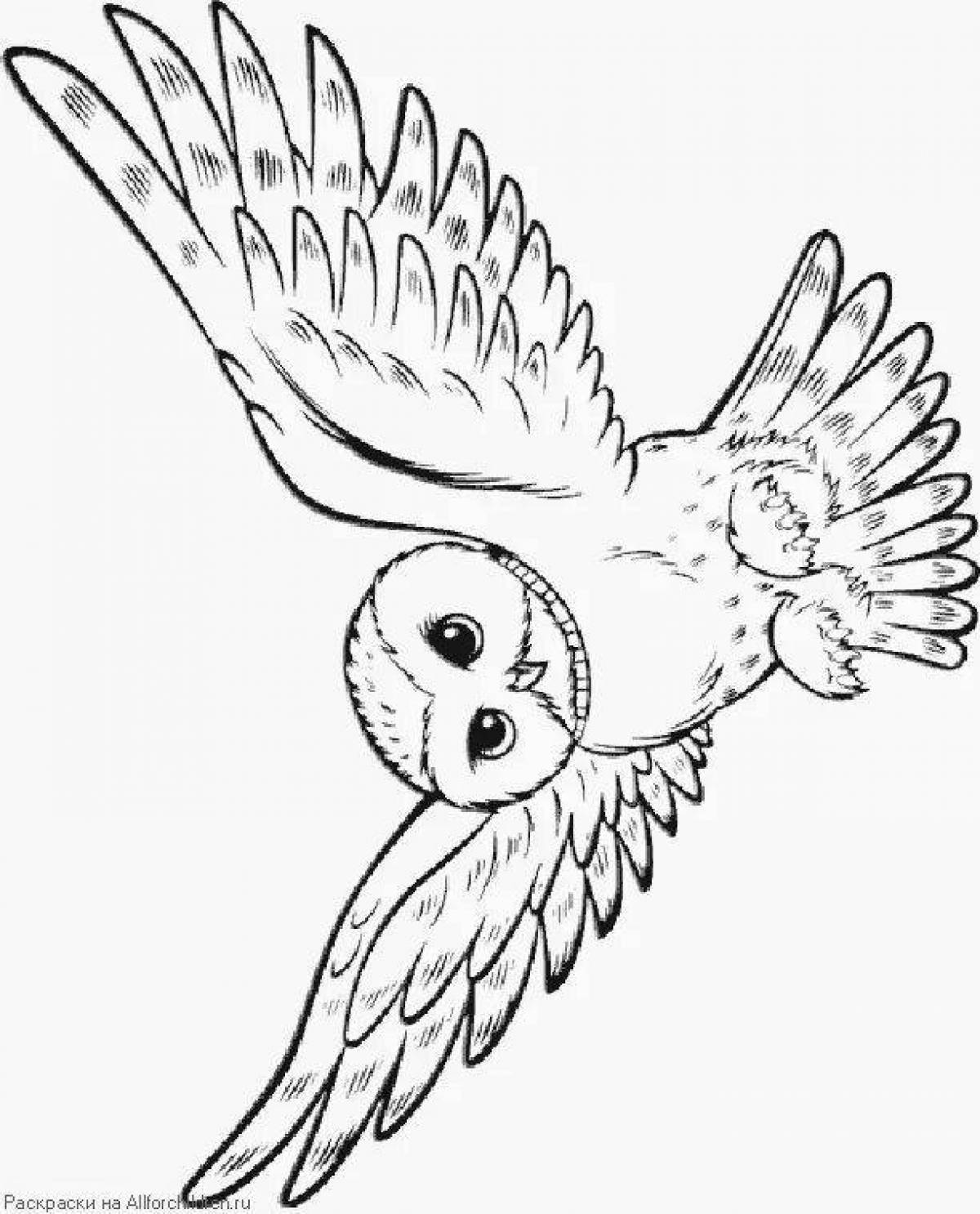Грандиозная страница раскраски совы гарри поттера