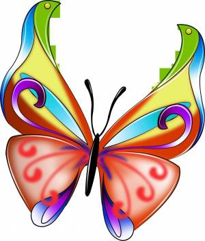 Раскраска бабочка для детей #4 #586