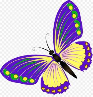 Раскраска бабочка для детей #17 #599