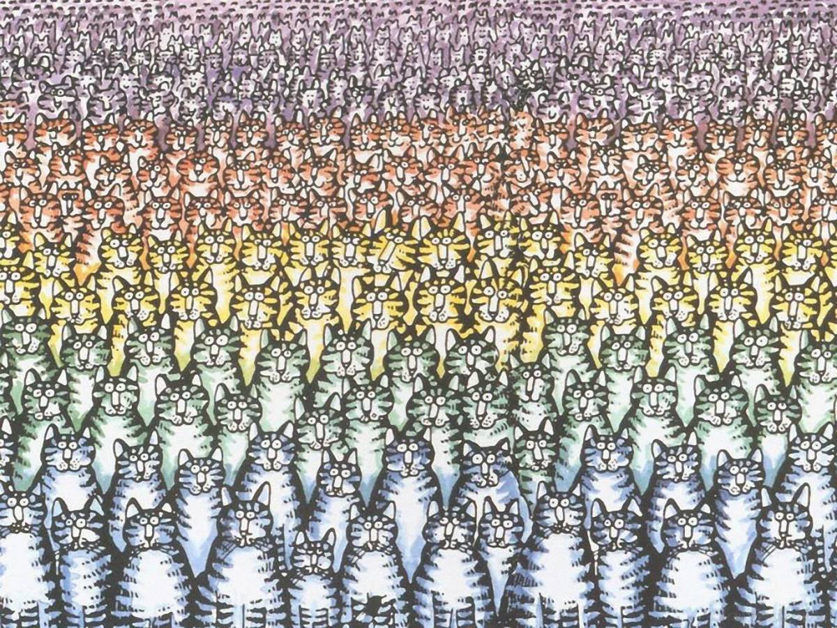 Очень много котиков