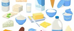 Раскраска молочные продукты для детей #12 #402703