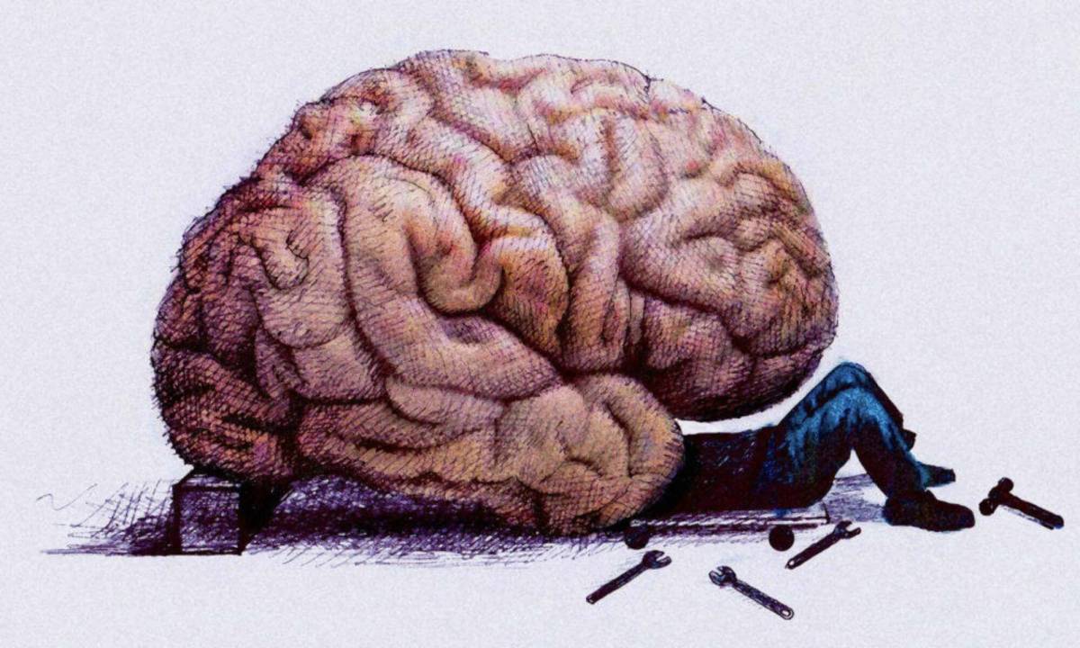 Мозг человека #27