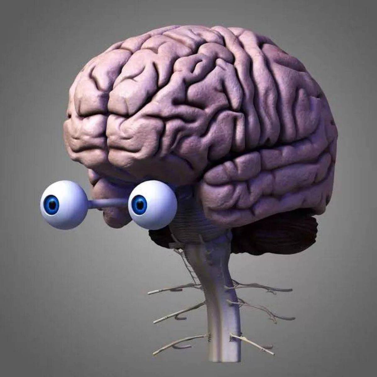 Мозг человека #39