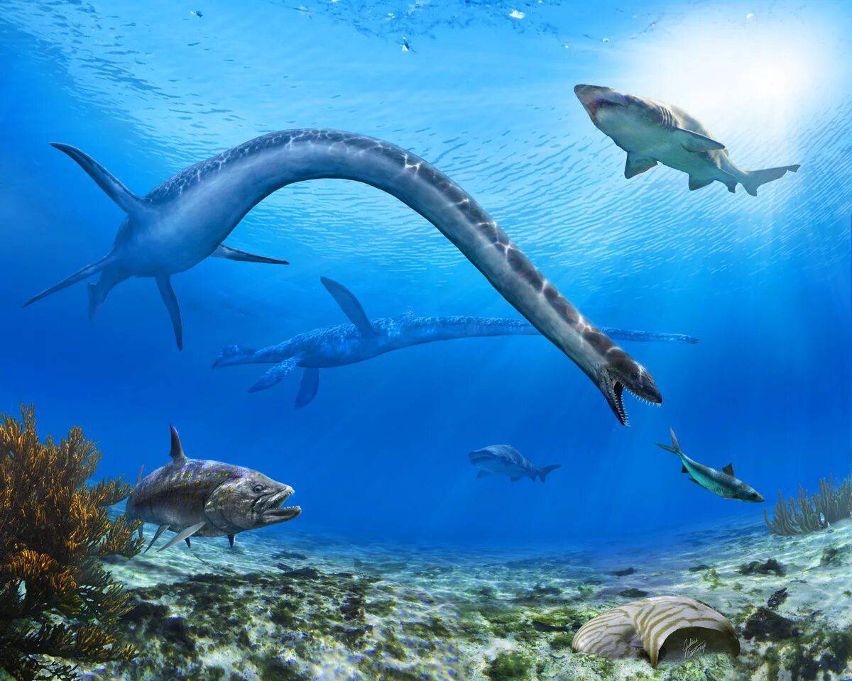 Морские динозавры #11